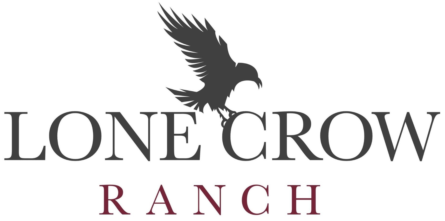 Lone Crow